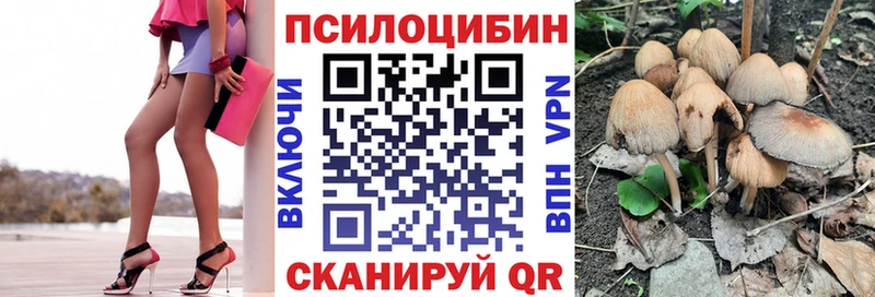 Галлюциногенные грибы GOLDEN TEACHER  Аркадак 