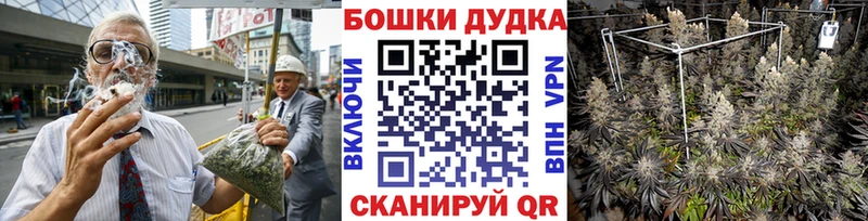 Бошки Шишки VHQ  Аркадак 